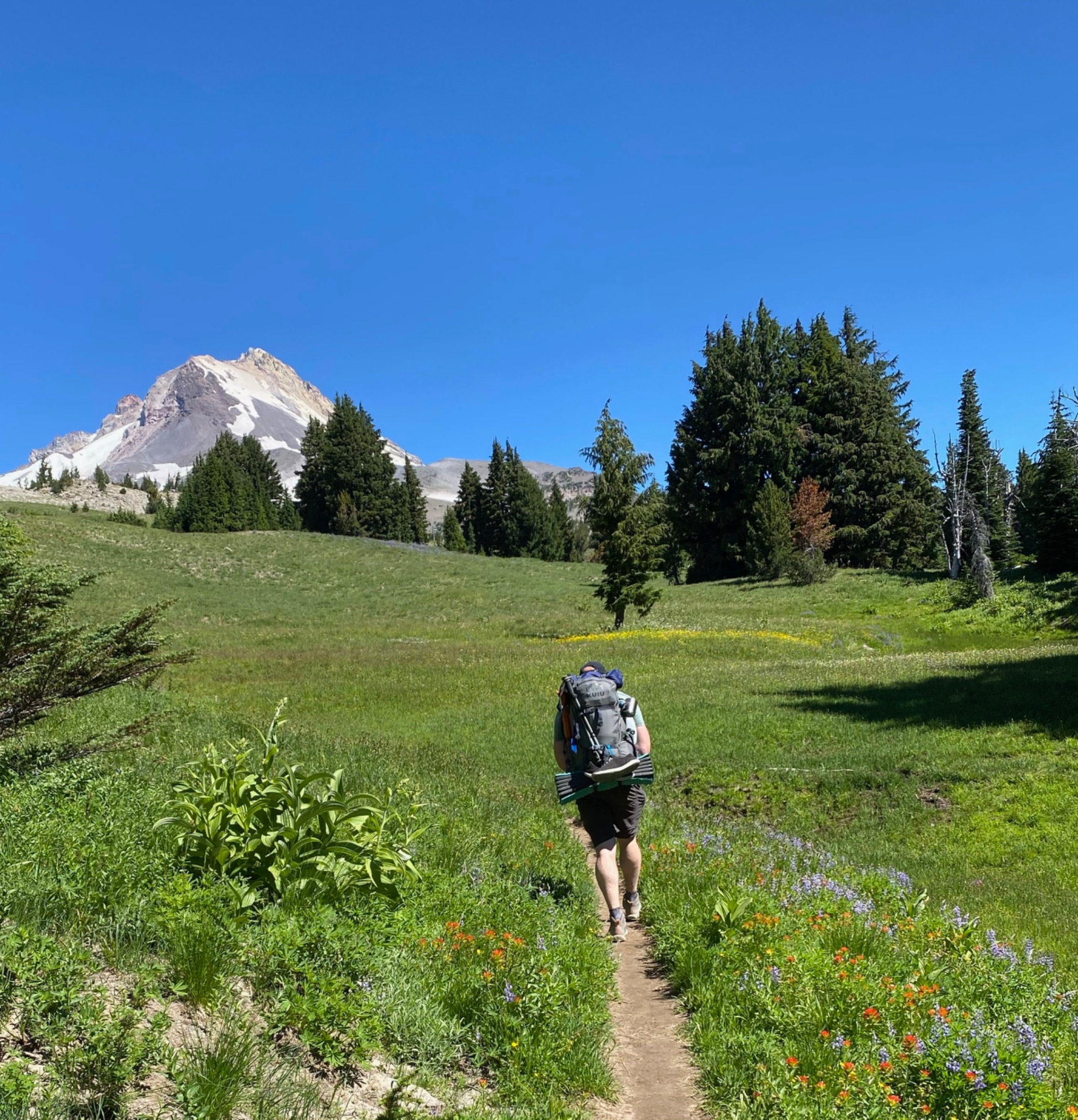 Matt Miller hiking toward a Cascade mountain through a wildflower meadow